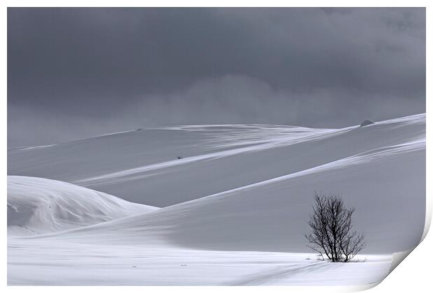 Desolate Tree in the Snow in Winter Print by Arterra 