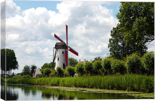Damme Windmill, Belgium, 2011 Canvas Print by colin ashworth