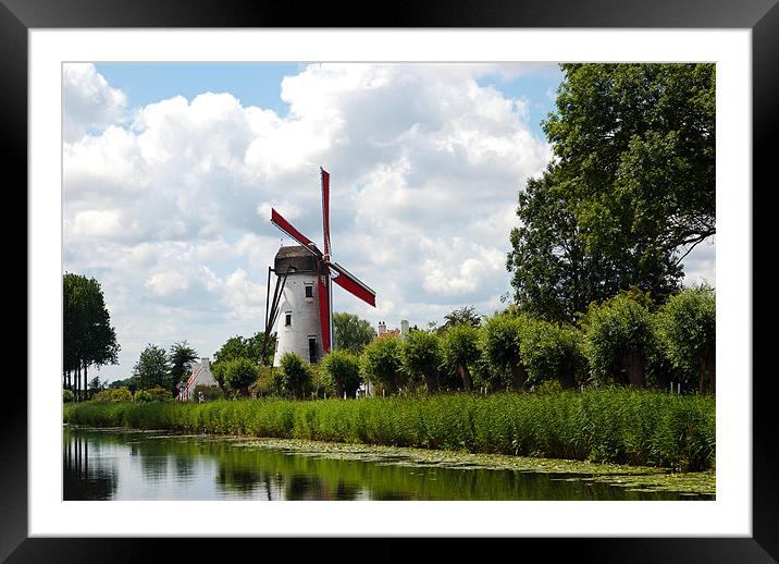 Damme Windmill, Belgium, 2011 Framed Mounted Print by colin ashworth