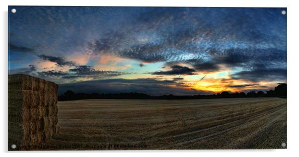 Berkshire Sunset. Acrylic by Matthew Bates