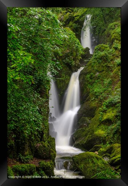 Stock Ghyll Force Framed Print by Nigel Wilkins