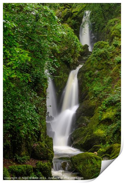 Stock Ghyll Force Print by Nigel Wilkins