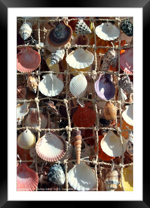 Marinistic decoration with sea shells Framed Mounted Print by Paulina Sator