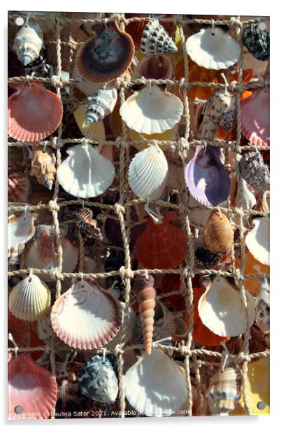 Marinistic decoration with sea shells Acrylic by Paulina Sator