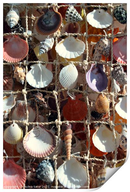 Marinistic decoration with sea shells Print by Paulina Sator