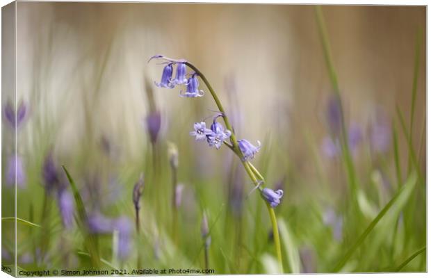 Bluebell Flower Canvas Print by Simon Johnson