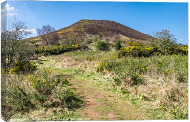 East Side footpath up Eildon Hill North, Scottish Borders, UK Canvas Print by Dave Collins