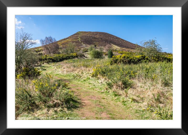 East Side footpath up Eildon Hill North, Scottish Borders, UK Framed Mounted Print by Dave Collins