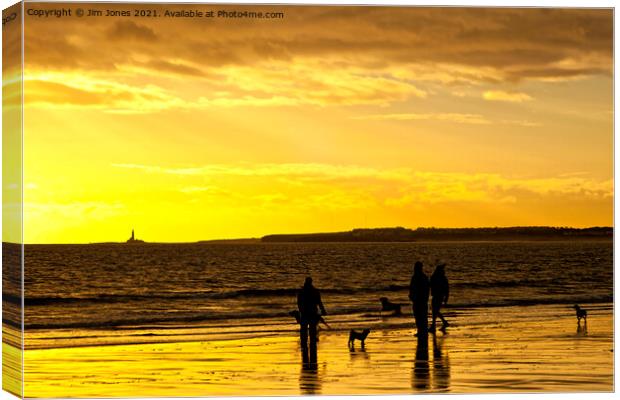 Dog walkers on the beach at sunrise Canvas Print by Jim Jones