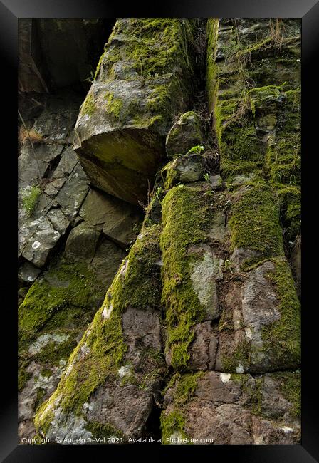 Natural Geometry and Moss Framed Print by Angelo DeVal
