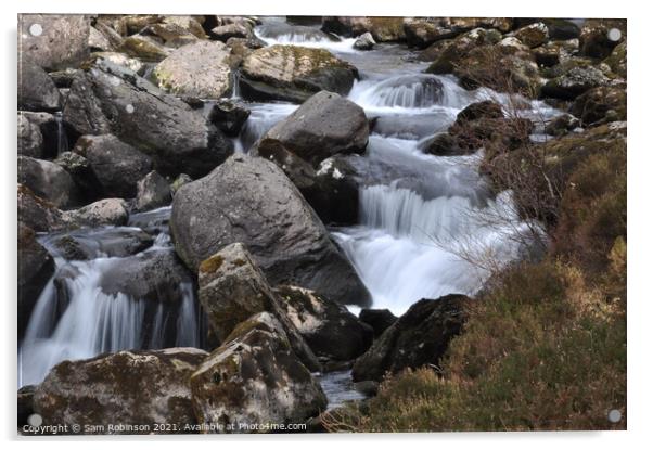 Stream flowing over rocks Acrylic by Sam Robinson