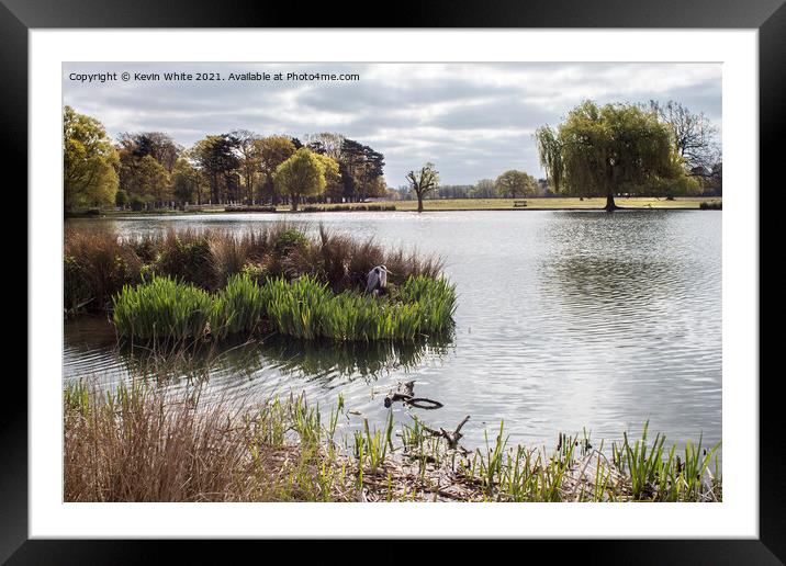 Surrey open spaces Framed Mounted Print by Kevin White