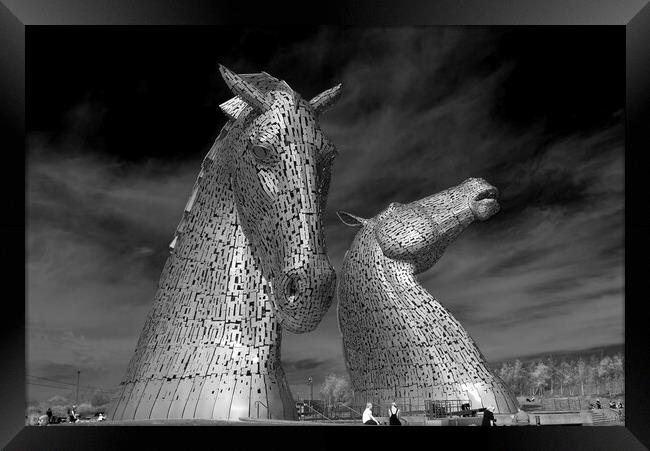 The Kelpies Framed Print by Tony Bishop