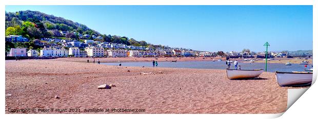 Shaldon From Teignmouth Print by Peter F Hunt