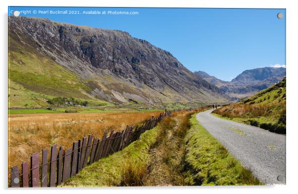 Leading to Ogwen in Nant Ffrancon Valley Snowdonia Acrylic by Pearl Bucknall