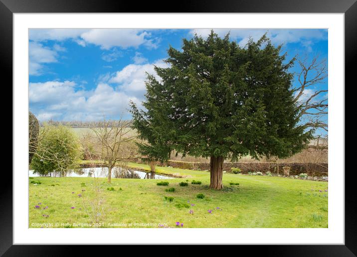 Serene Nottinghamshire Countryside Getaway Framed Mounted Print by Holly Burgess