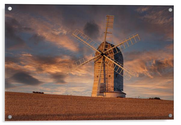 Golden Skies of the Windmill Acrylic by Wendy Williams CPAGB