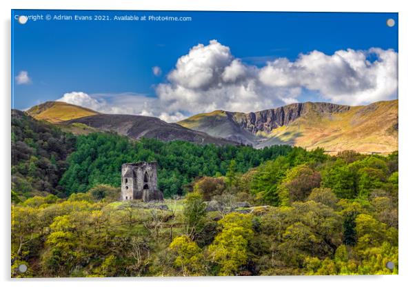 Dolbadarn Castle Llanberis Snowdonia Acrylic by Adrian Evans