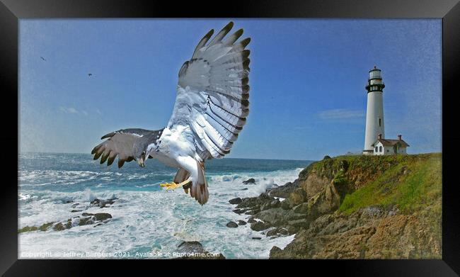 Pigeon Lighthouse with Hawk Framed Print by Jeffrey Burgess