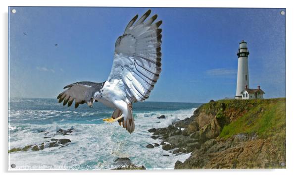 Pigeon Lighthouse with Hawk Acrylic by Jeffrey Burgess