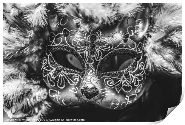 Black White Mask Feathers Mardi Gras New Orleans Louisiana Print by William Perry