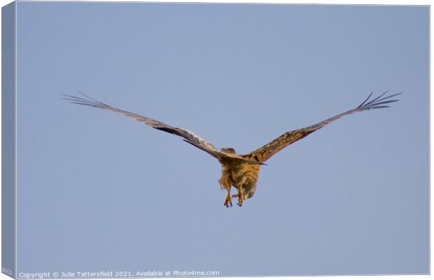 Red kite looking for its next prey Canvas Print by Julie Tattersfield