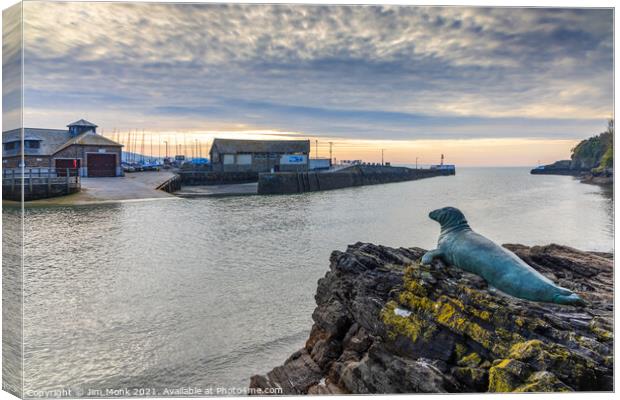 Nelson The Seal At Looe Canvas Print by Jim Monk