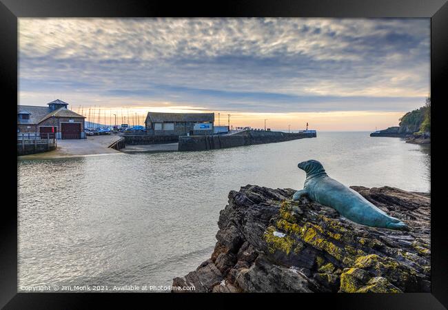 Nelson The Seal At Looe Framed Print by Jim Monk