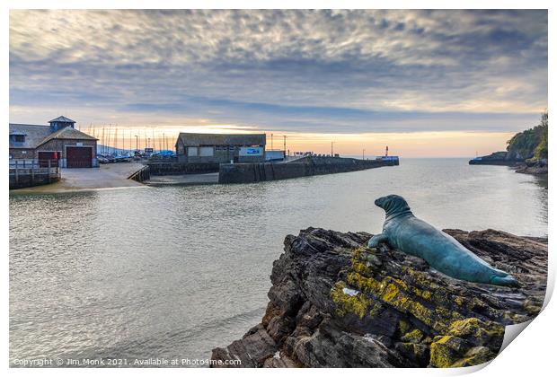 Nelson The Seal At Looe Print by Jim Monk