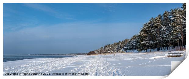Panoramic view of snowy sea coast Print by Maria Vonotna