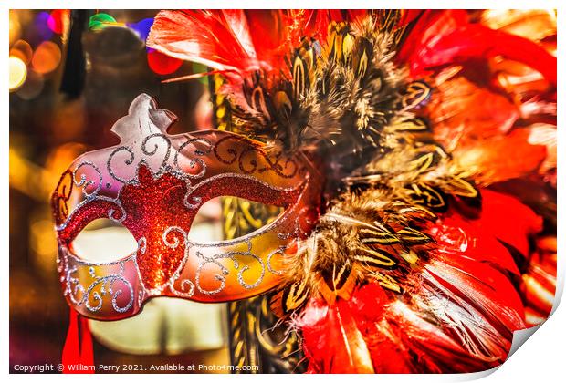 Colorful Red Mask Feathers Mardi Gras New Orleans Louisiana Print by William Perry
