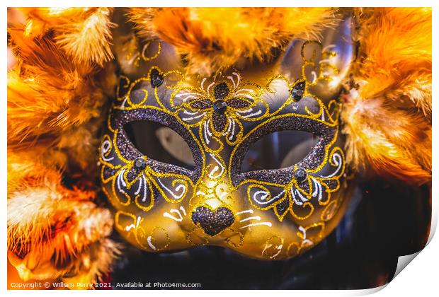 Colorful Mask Feathers Mardi Gras New Orleans Louisiana Print by William Perry