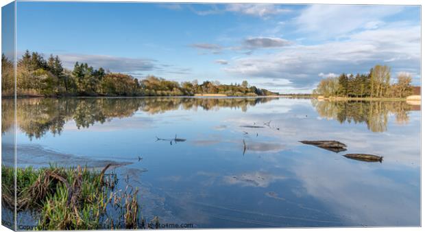 Scottish Loch in Morning Sunshine Canvas Print by Joe Dailly