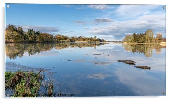 Scottish Loch in Morning Sunshine Acrylic by Joe Dailly
