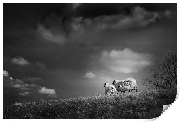 sheep clouds Print by Dorit Fuhg