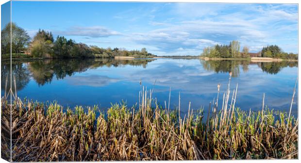 Scottish Loch in Morning Sunshine Canvas Print by Joe Dailly