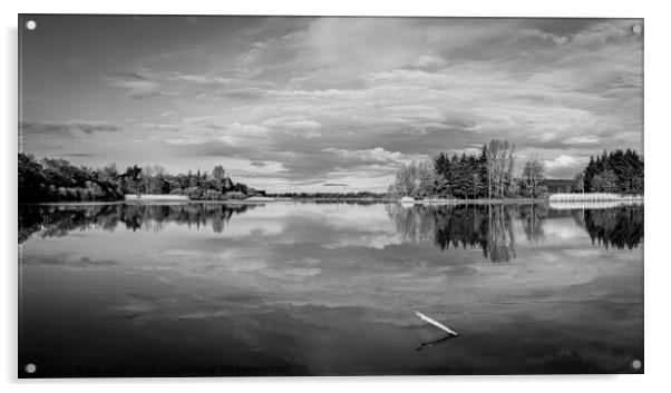 Scottish Loch in Morning Sunshine Acrylic by Joe Dailly