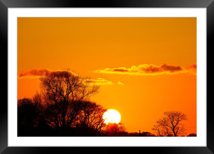 Tree sunset Framed Mounted Print by Stephen Carrigan