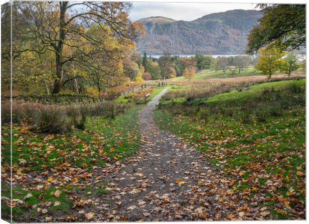 Pastures above Aira Force, Ullswater, Cumbria Canvas Print by June Ross