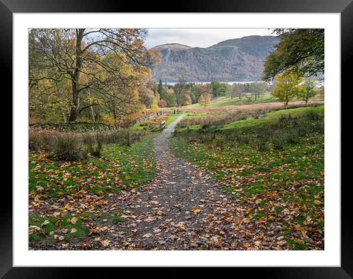 Pastures above Aira Force, Ullswater, Cumbria Framed Mounted Print by June Ross