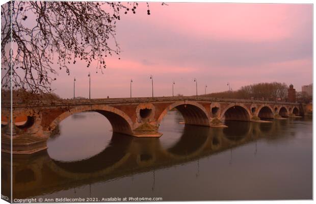 Do you see me at Pont-Neuf bridge Canvas Print by Ann Biddlecombe