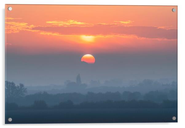 Misty dawn over fenland, 1st May 2021 Acrylic by Andrew Sharpe