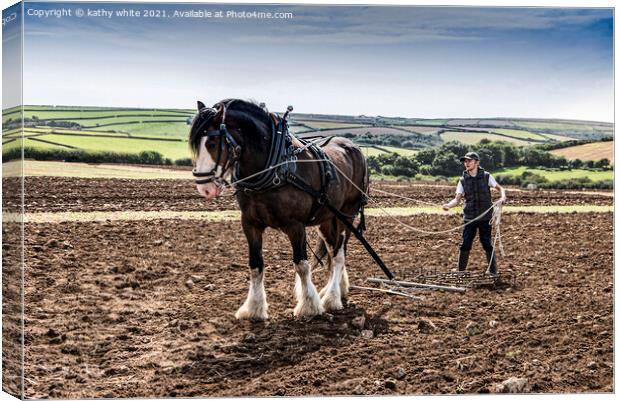  Ploughing the field with a horse Canvas Print by kathy white