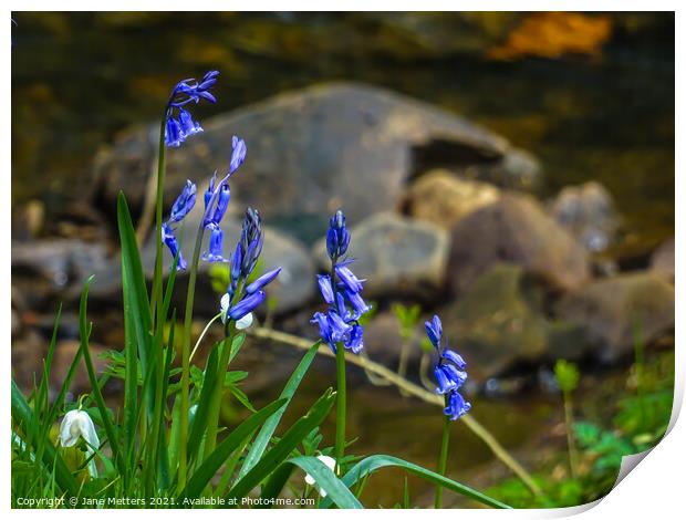 On The Banks of the River Garw  Print by Jane Metters