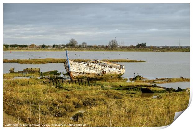 Boat wrecks Maldon Essex  Print by Diana Mower