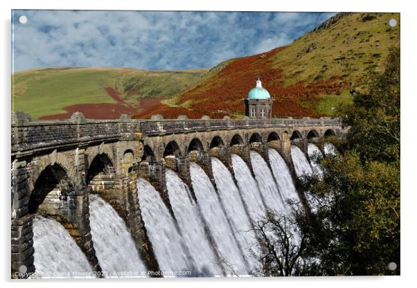 Craig Goch Dam Wales Close up Acrylic by Diana Mower