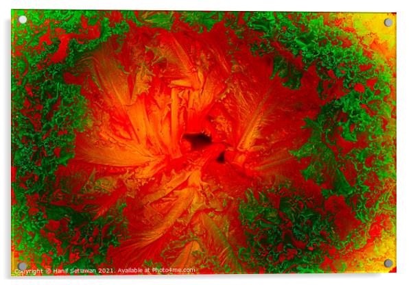 Abstract shapes from lettuce leaves, edit digital. Acrylic by Hanif Setiawan