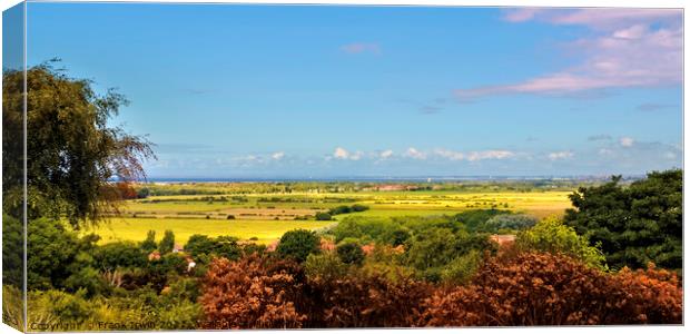 The magnificent view across Wirral Peninsula Canvas Print by Frank Irwin