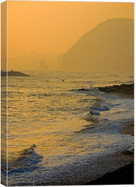 Sidmouth Seafront Canvas Print by Pete Hemington