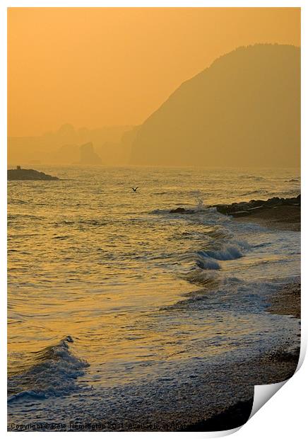 Sidmouth Seafront Print by Pete Hemington